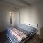 Console Camprini - Solo Locazioni Oltre 29 Giorni Apartman Faenza